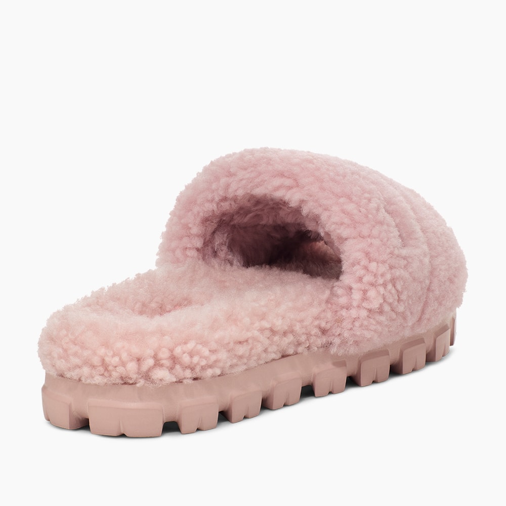 image_af24f2f9-3e01-4f69-b0f1-fd5413c37255