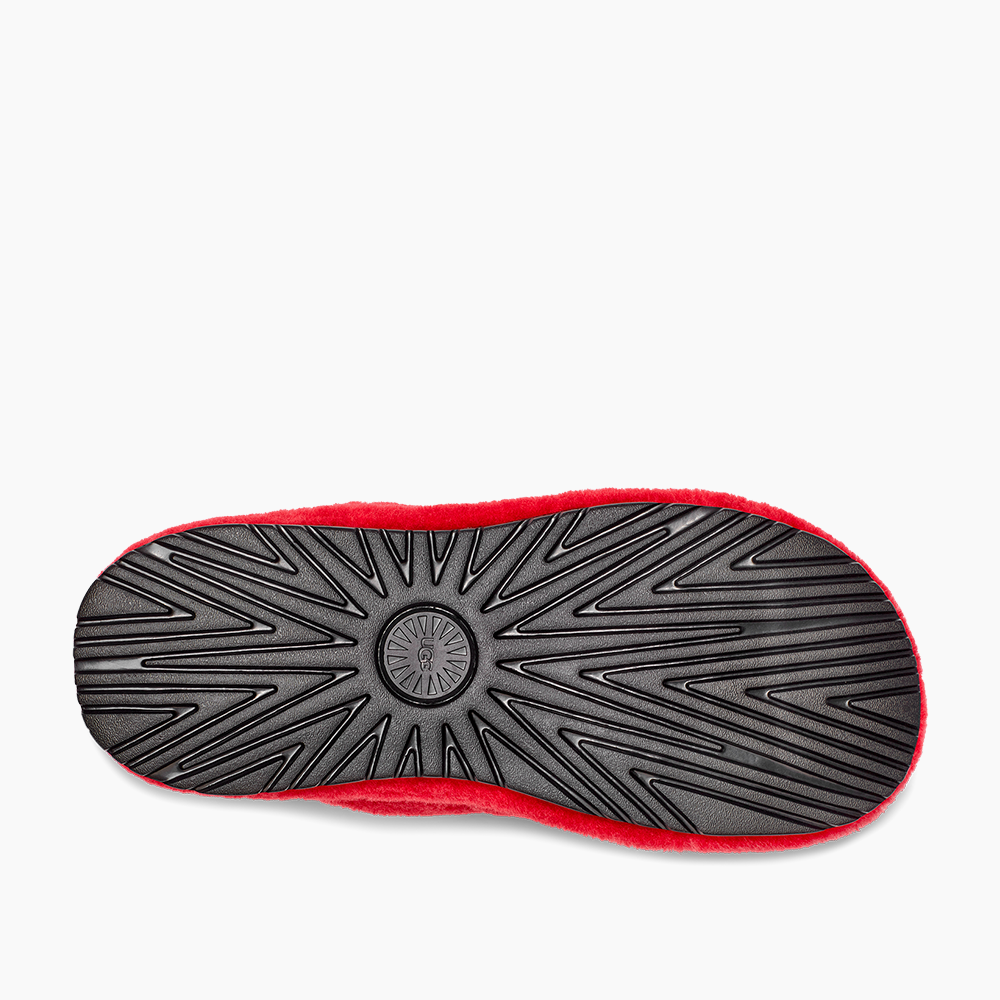 image_b14e0844-c9b7-46e9-a4dc-b996a3e9cfa2