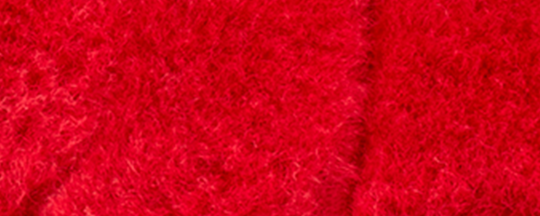 image_cebe7121-5e37-43a2-a2ea-547f9680f393