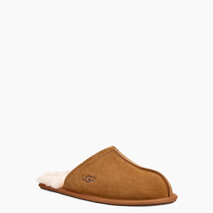 image_48ec33aa-5f33-4e93-9c50-69a571c7595f