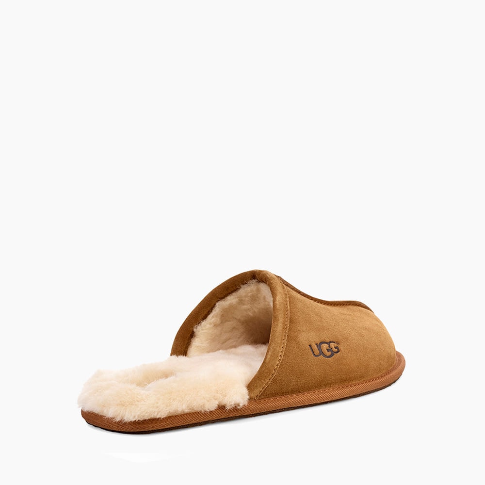 image_7afb1c77-c246-44c4-93f6-02f51b2604f9