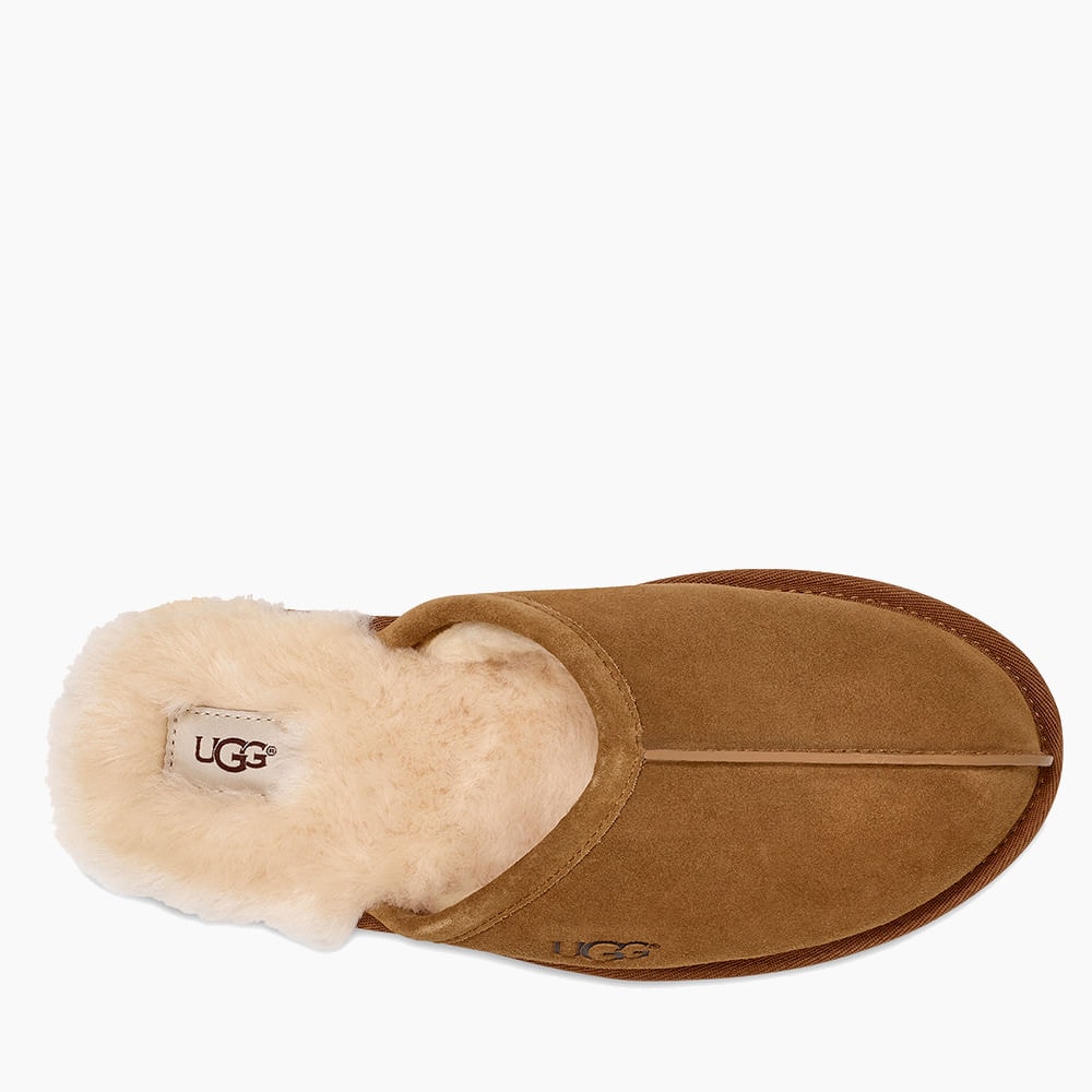 image_5d6870d9-8fd6-429c-9860-4eb3fc3105a4