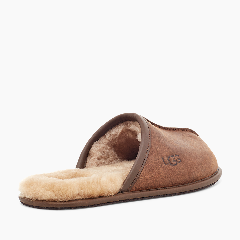Slipper UGG Masculino Scuff Marrom