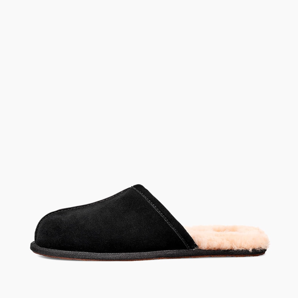 image_446ffe8d-edfc-4a27-98df-31cfc6abda2a