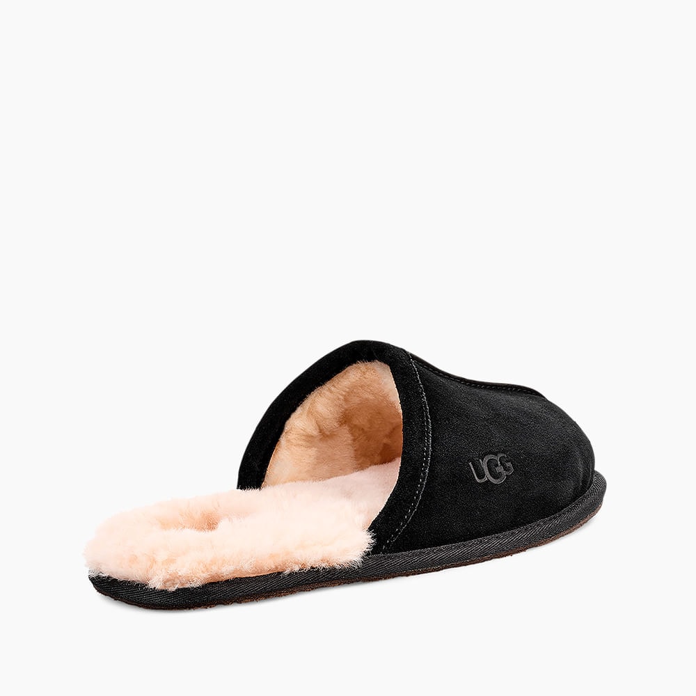 image_4a48c406-2878-45aa-9b0c-eacff894f19b