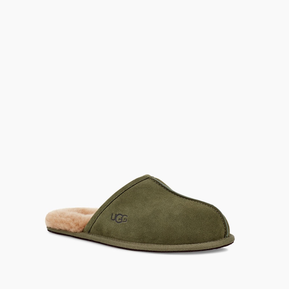 image_7e060458-5ee7-49eb-ae1a-68bc6cad915b