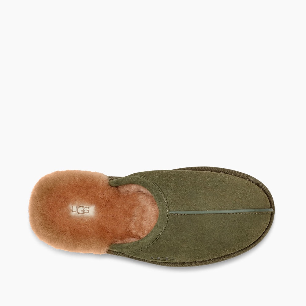 image_632224e0-12c5-4eca-a9e6-c1e548f2cc84