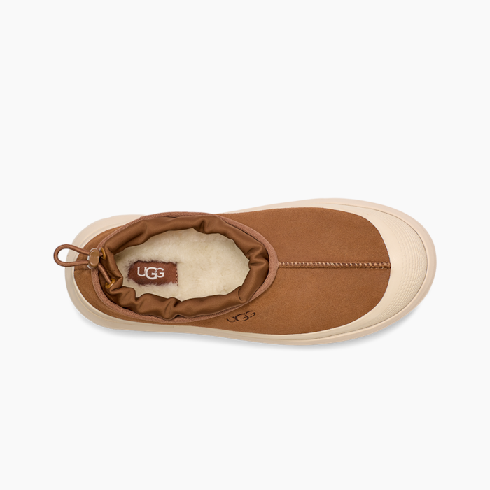 image_eb3155ed-9a77-4bc6-815a-59acd69a2ae0