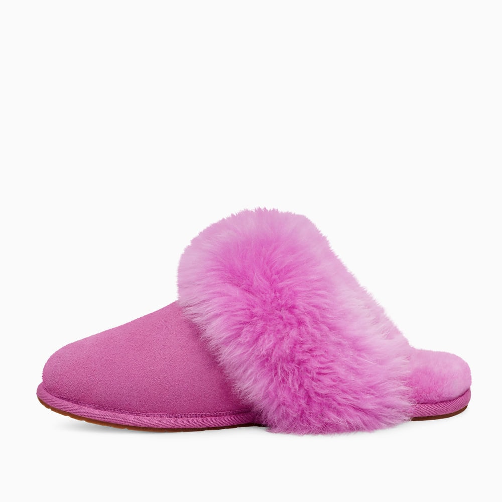 image_4ef03905-e459-420e-9f8a-fe38538bb90d