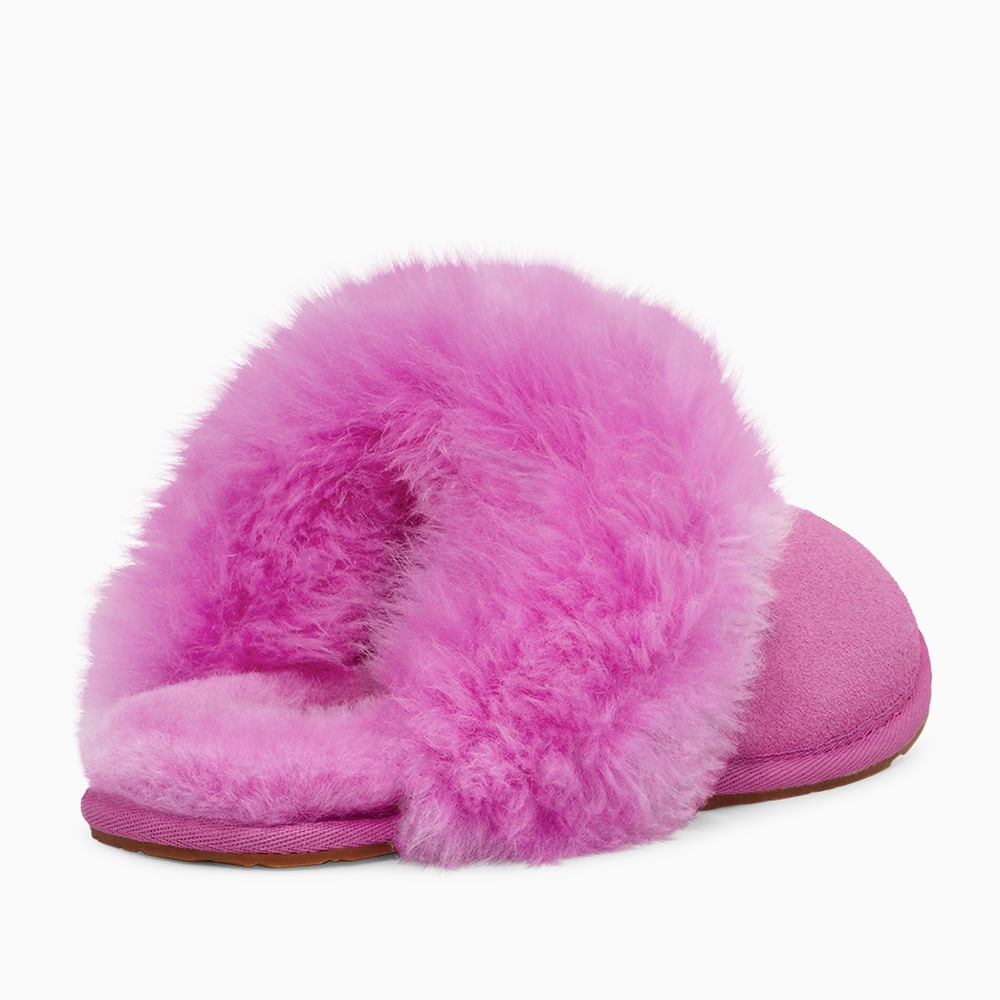 image_dfda773a-dabe-4a66-bccc-a758695489e9