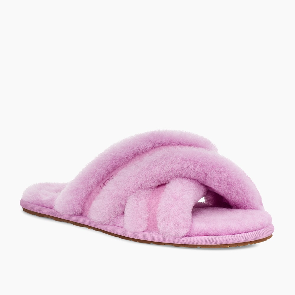 image_c573a272-b2b5-4b96-b86d-56f2c166edd3