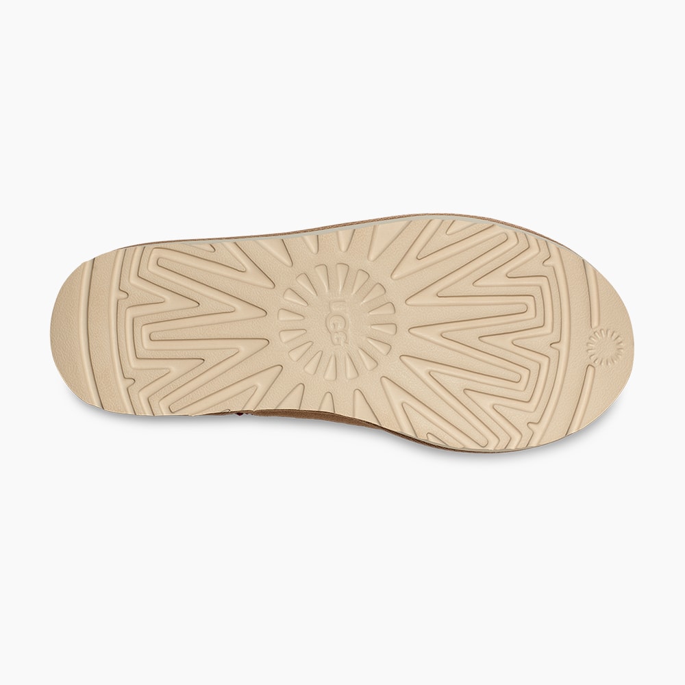 image_95662e98-ec36-4fee-963d-0071f3c6533b