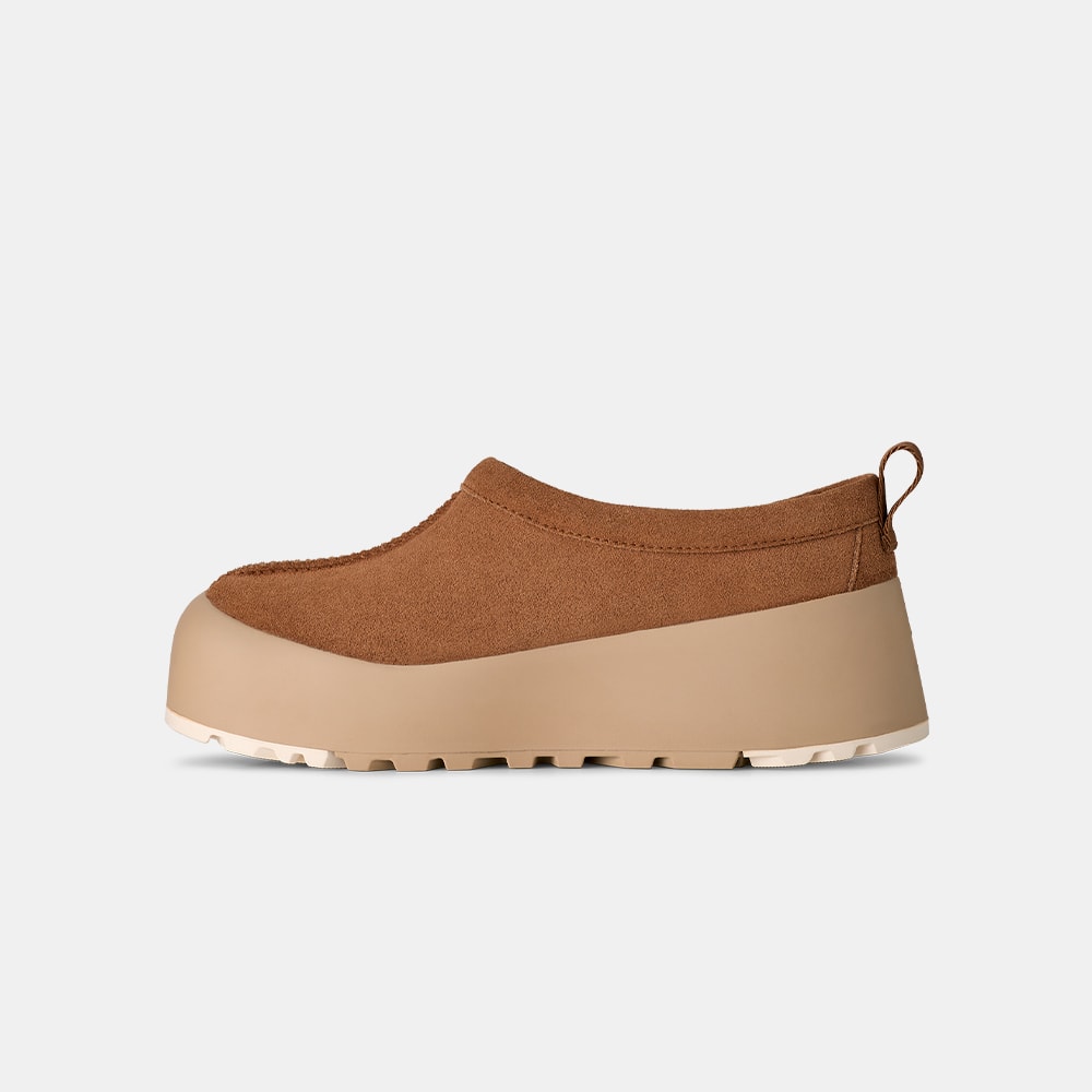 image_21263c02-3de1-4b4b-89e6-51c1e5b7ddc4