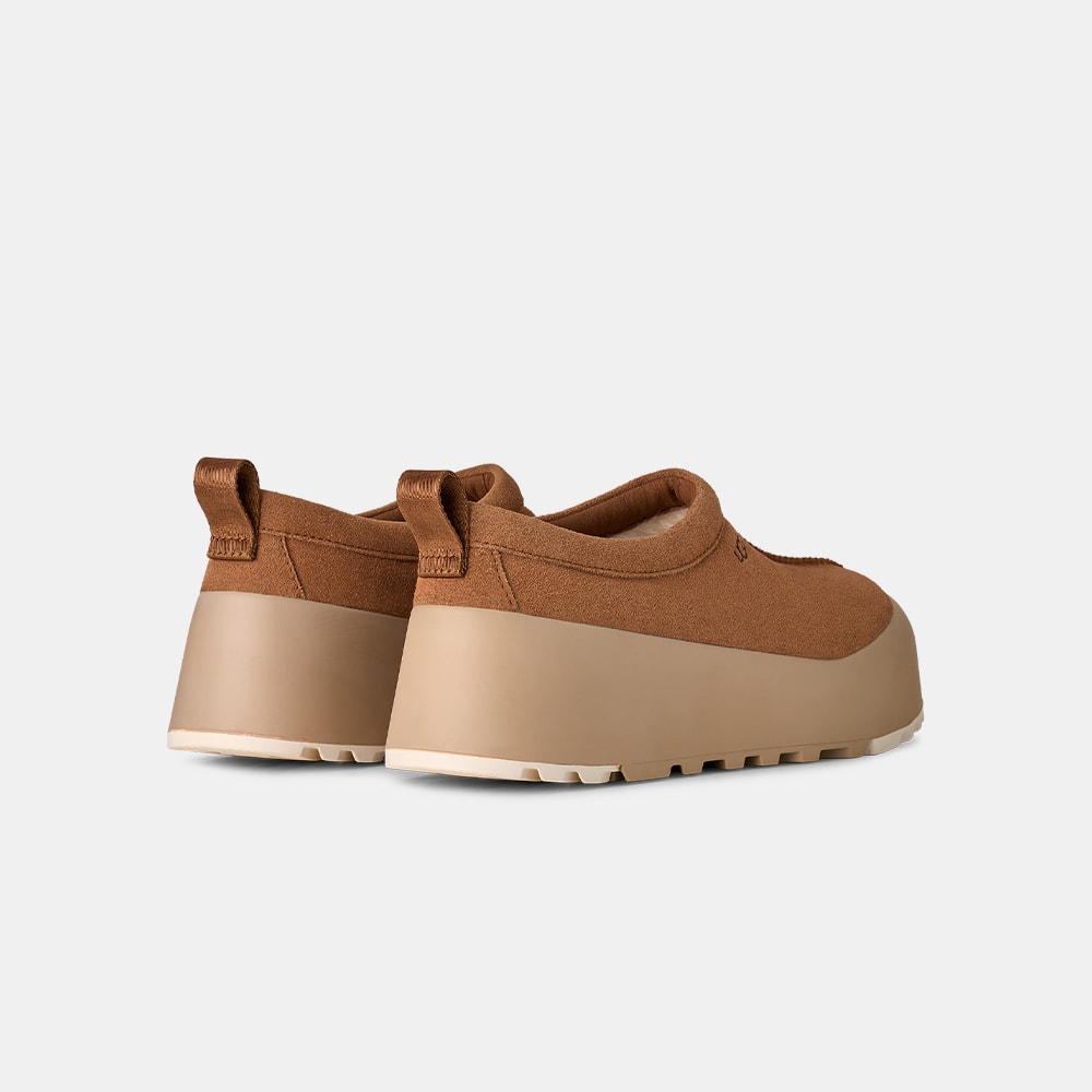 image_5f08a600-89de-409c-b866-4ce4e8791c49