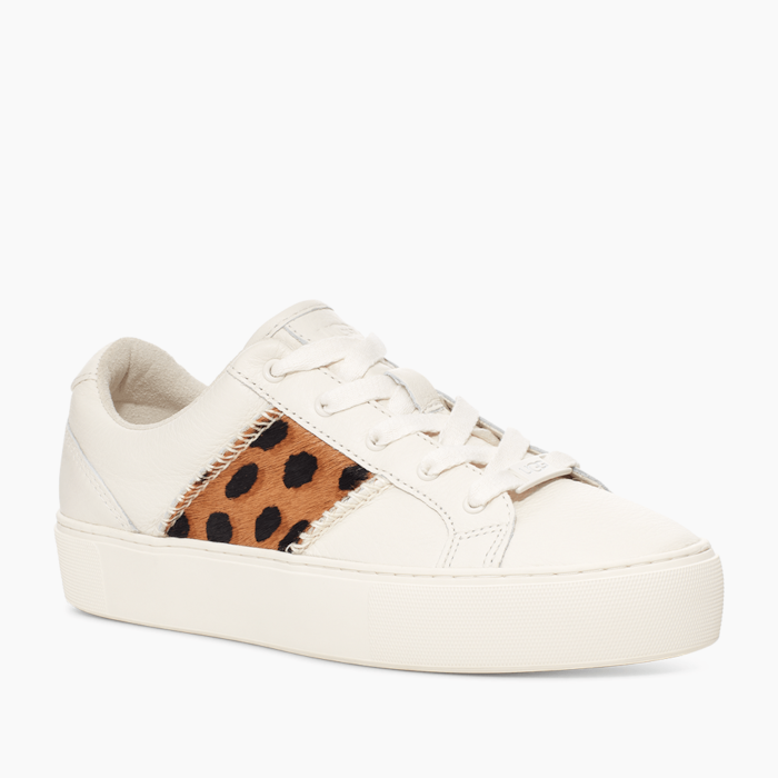 image_007bb0aa-1ec5-4718-bea8-c28e8efb4729