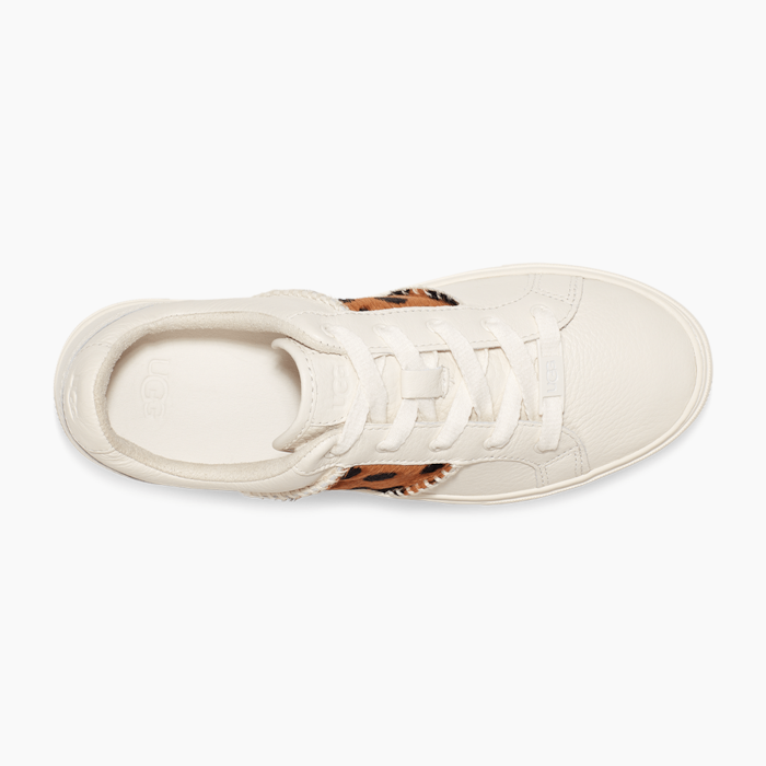 image_0a3127de-3fbb-43a4-8f8b-f5a8fd60ecc8