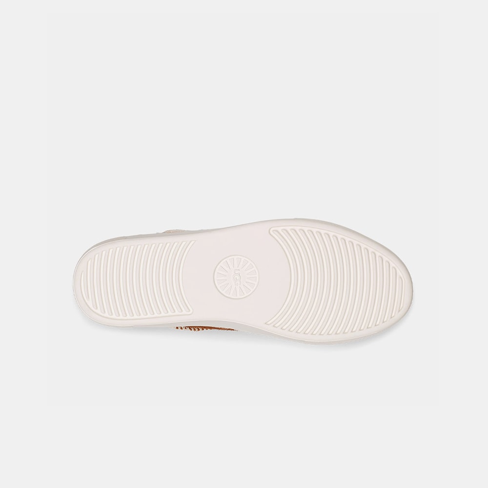 image_c5afa327-dfbb-441b-9776-e4c6028fb22c
