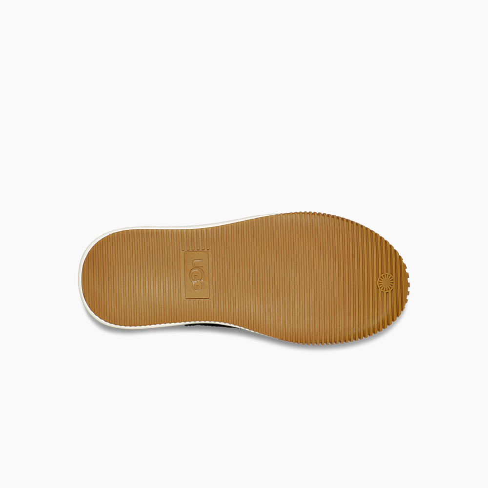 image_64c0e098-3ca9-4a81-a5dd-5f49dfb26633