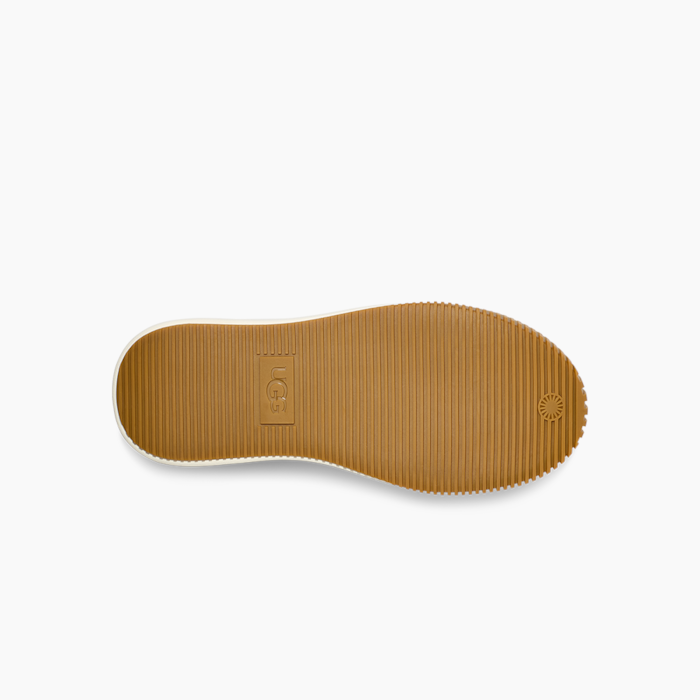 image_b6a55749-d551-49b2-96b7-24c84bfd912b