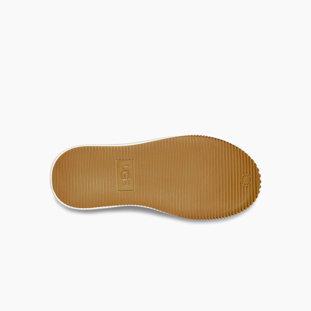 image_fa21c819-2d56-4e28-a6e1-7238ab751eb7