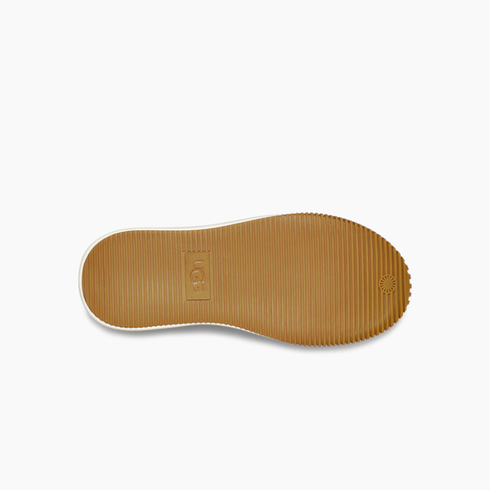 image_09b6abab-70e8-458f-b4e0-2b2b88e0b121