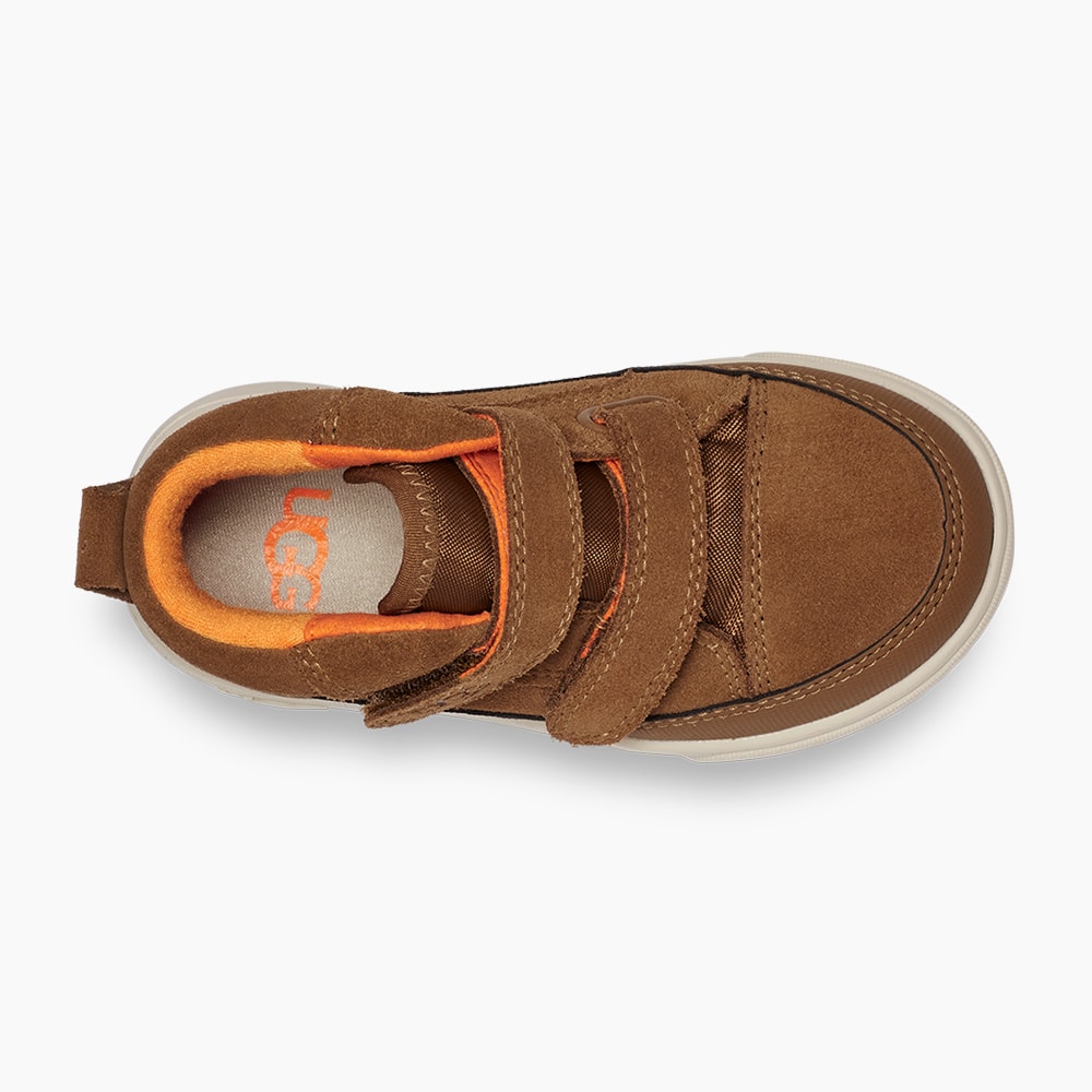 image_088e6cc8-2b3a-4fa7-ac6c-8d0fab6d966e