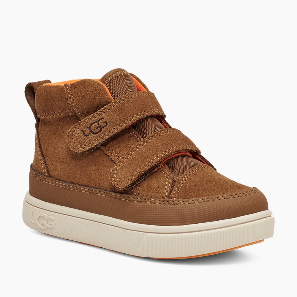 image_1ede3d57-c499-4584-ab3d-c68bf16c031b