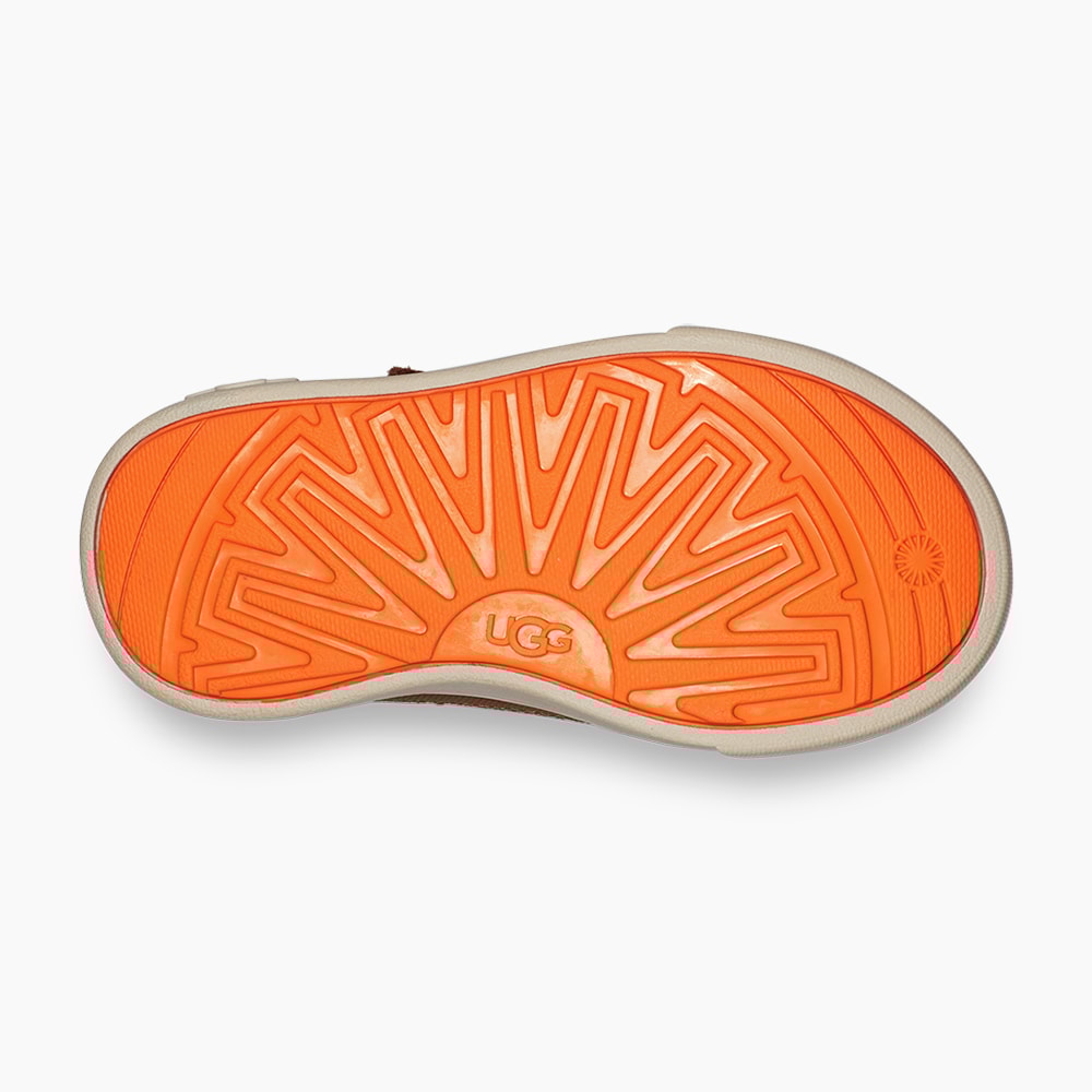 image_97b278e8-f5ed-4382-8201-a5c272e3018f