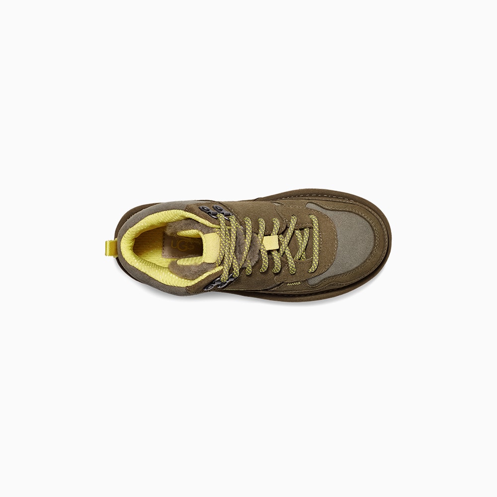 image_7760aa76-53e7-4120-9346-29cb0423d2c0