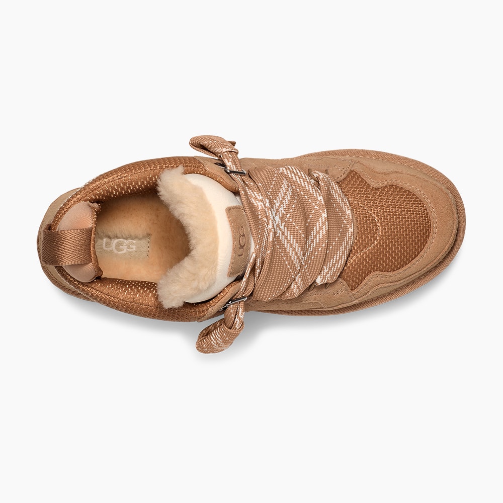 image_aa24284c-22c4-4ce3-8bd4-7db07c82360d