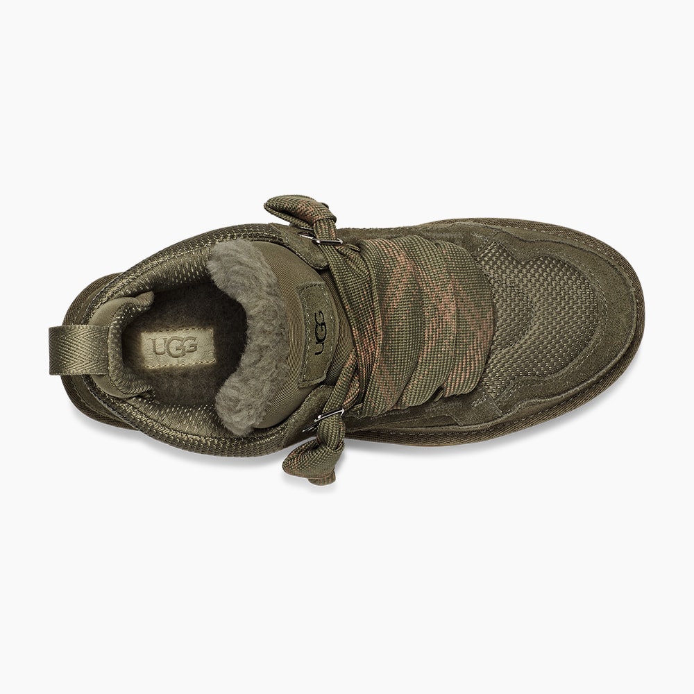 image_1d880c74-e2ac-4e82-9918-e7ee95340b4e