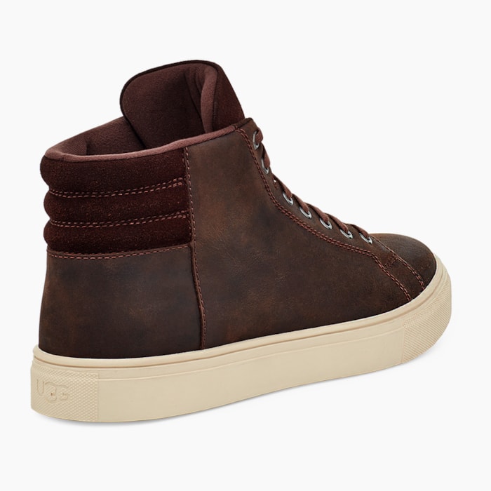 image_3c047798-184e-4c5a-9657-532d574581b9