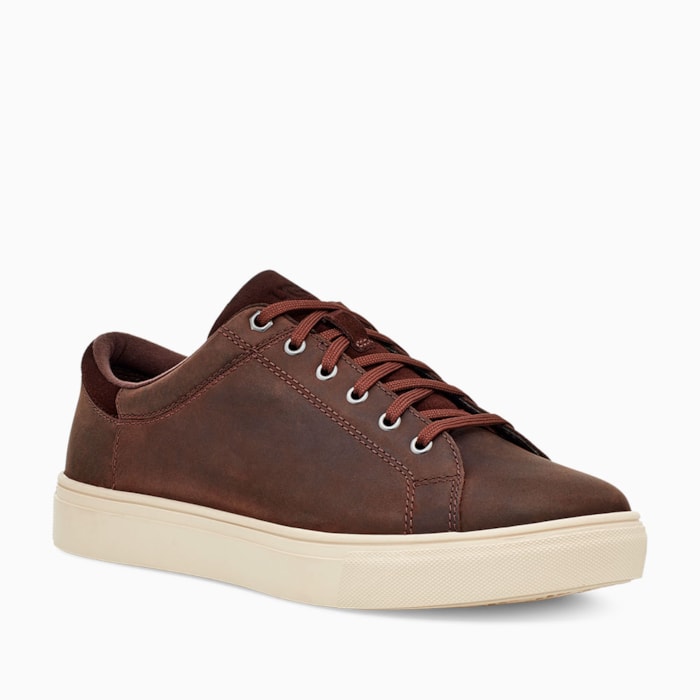 image_0b240ddd-ef19-4520-aee0-e4bcdc6e0da3