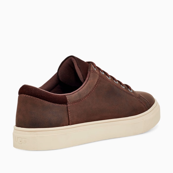 image_5cb20736-54fe-4850-b24e-e01271a1dbb3