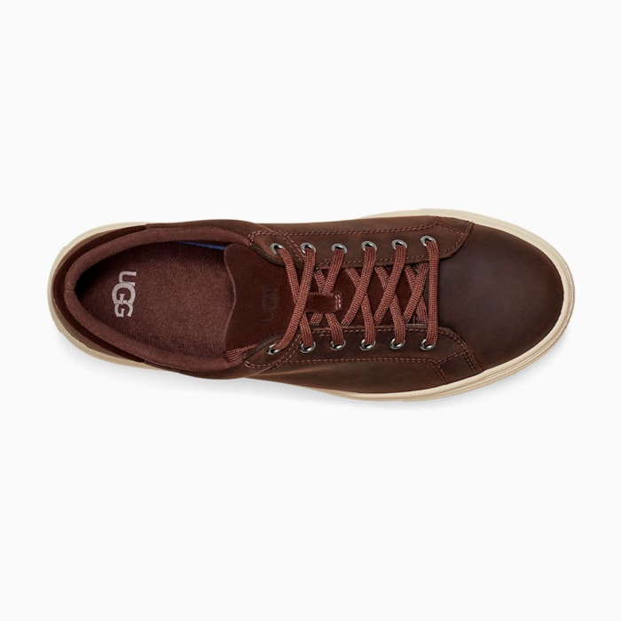 image_0a1205a3-7e86-4174-895f-e86e6996e7d0