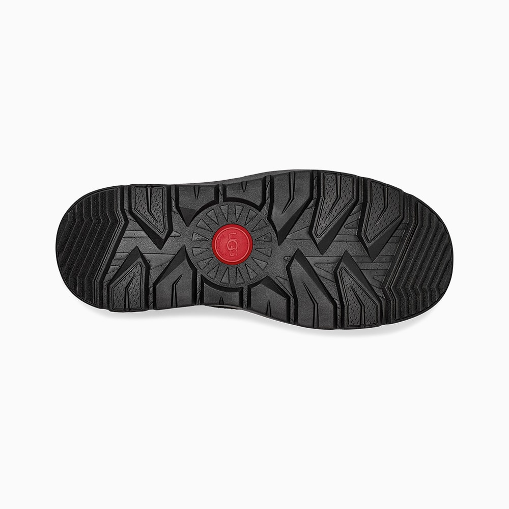 image_2f6d7d02-75af-4c96-9e1c-cf5a0b0635ae