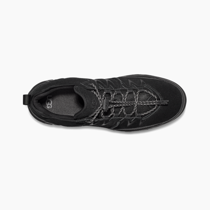 image_de485482-a67d-4557-b5f9-7e796e5bccda