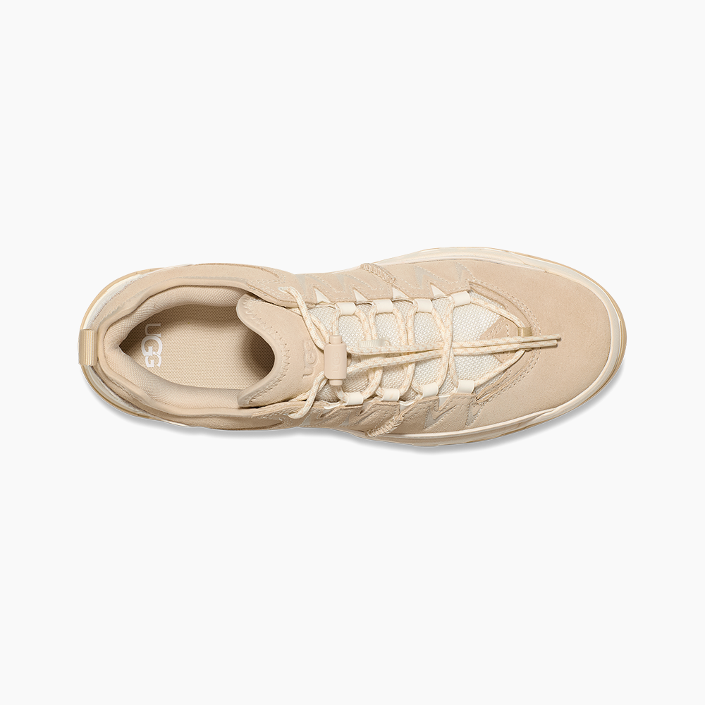 image_4ac7f871-68ad-4a7b-bb3f-0b8977036b8e