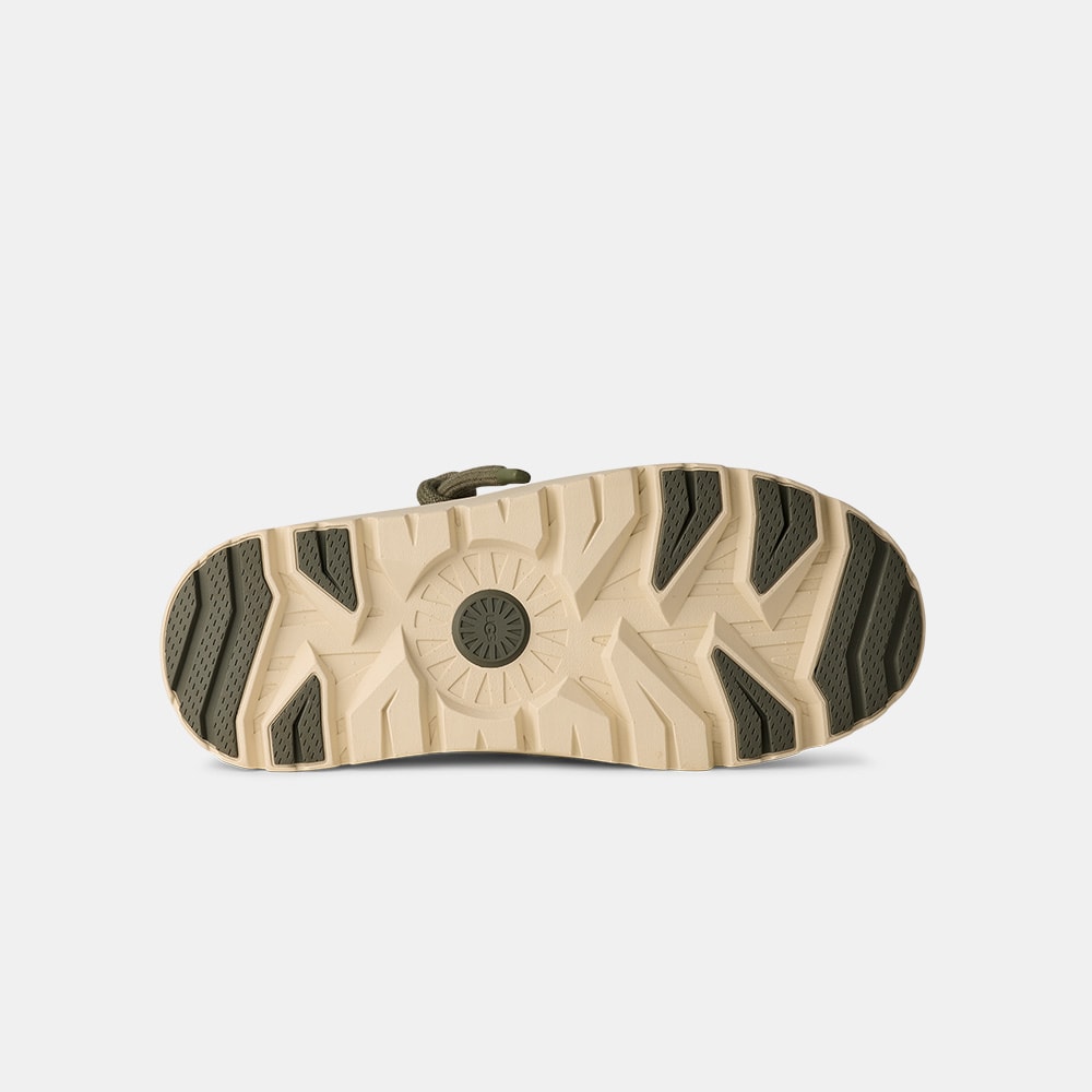 image_02afb1bb-c3e0-4813-a12e-d3e87739462d