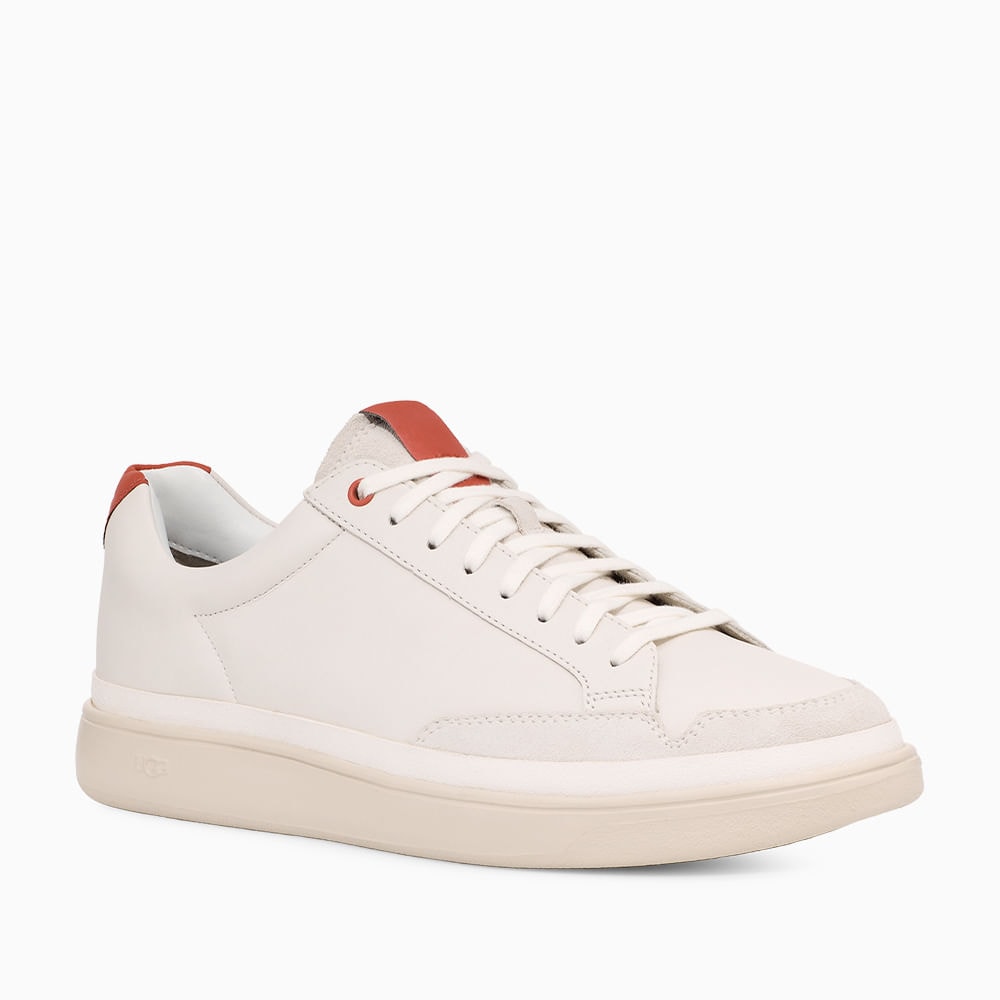 image_5361b86a-1e4a-416e-9366-2e340b9d3d6e