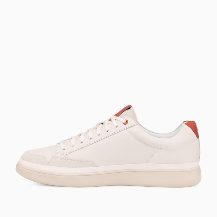 image_2be8e818-c5da-421e-b4c6-b04f220f8d97