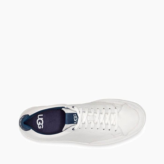 image_53721cfe-c7c3-456a-ae46-1ed86b5af484