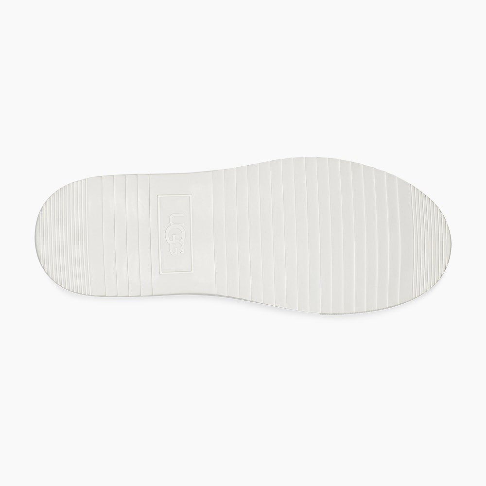 image_816cbaa5-ad2a-43cc-9a30-1b9441b2d28f