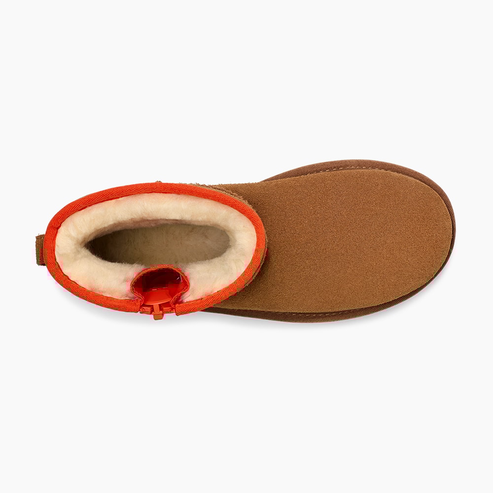 image_7755fb54-9db5-443f-a0f0-25111d9f84f2