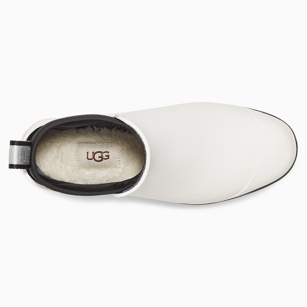 image_92b54ba3-7df9-4fa6-9076-652f156d3d12