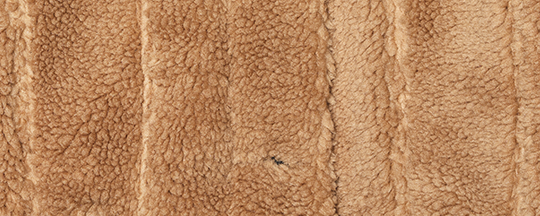 image_de52864d-58a0-47fa-81f4-45d28b019ca6