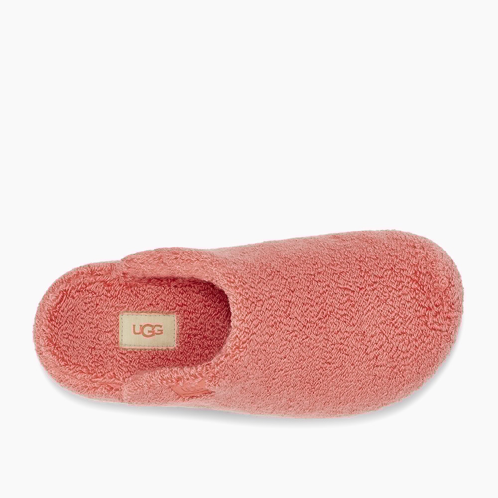 image_6e31acab-96a7-4f16-a967-1e2f0e1708b2