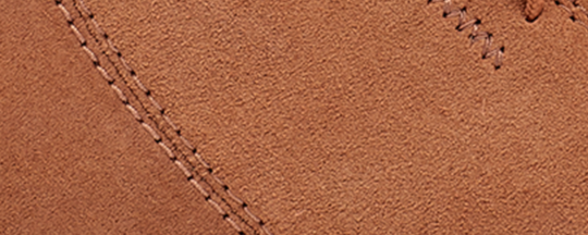 image_81d2e988-4347-4748-8c78-4d31030312bd