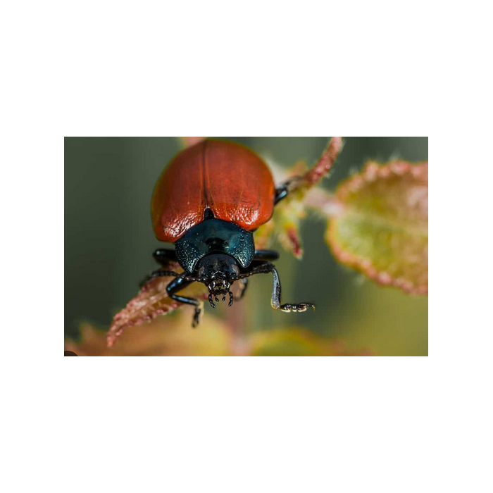 image_bb1b12d4-a7c4-4239-9b83-61fb62dc5d10