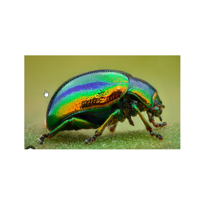 image_180768f5-12dc-43d6-9a5e-f719f3268bca